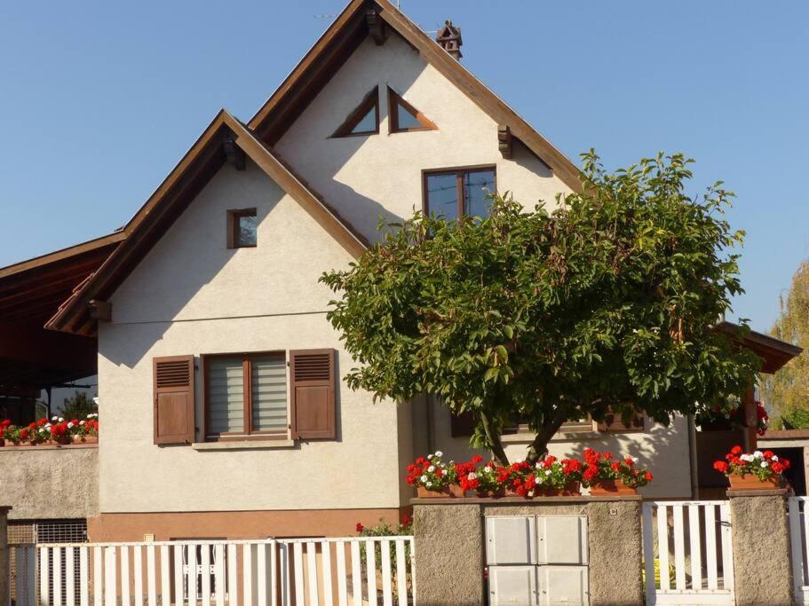 Gite Spacieux Au Coeur De L'Alsace 3*** Sélestat Exterior foto
